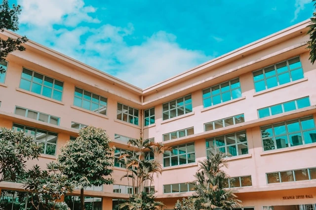 Sekolah Widyapinangbelapis